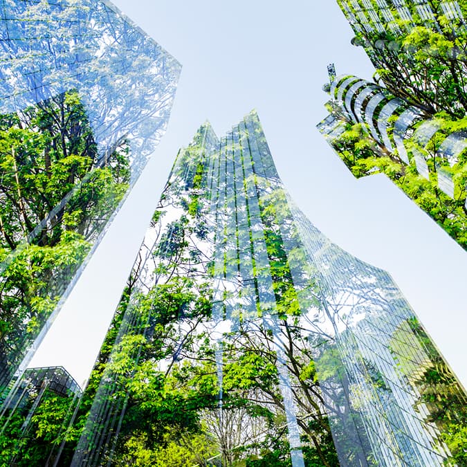 Team achieving goals